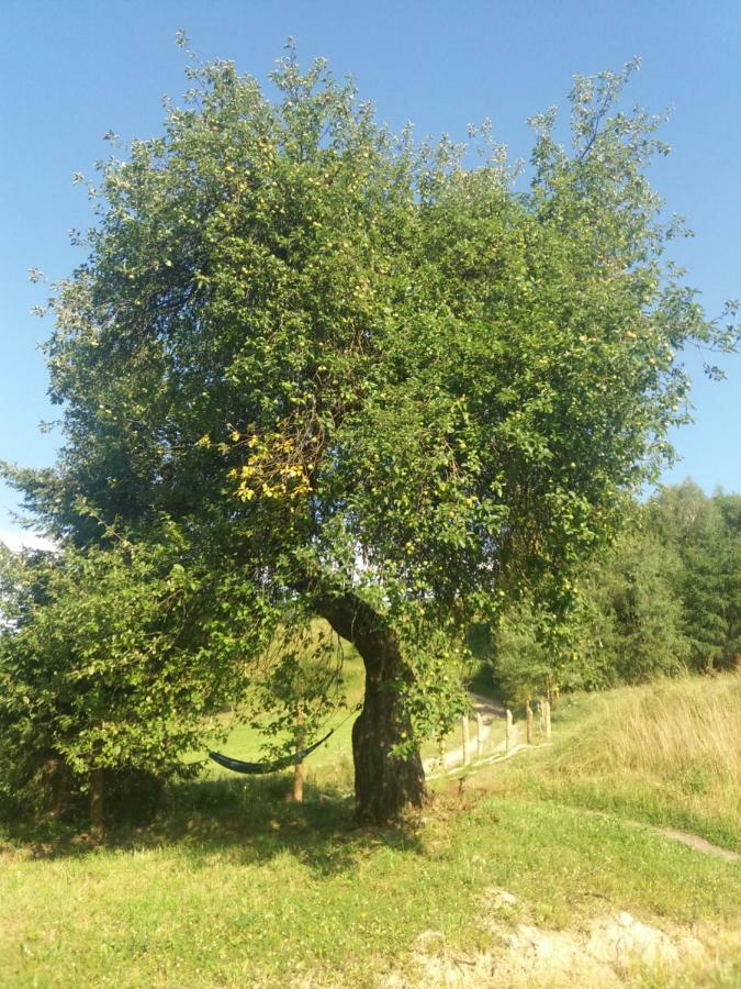 Vila Bjorkowo Polańczyk Exteriér fotografie